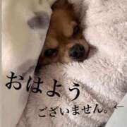 ヒメ日記 2025/12/22 13:44 投稿 和香夏（わかな） PLUS難波店