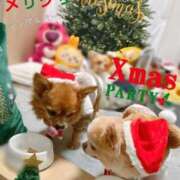 ヒメ日記 2025/12/27 00:04 投稿 和香夏（わかな） PLUS難波店