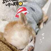 ヒメ日記 2026/01/01 17:48 投稿 和香夏（わかな） PLUS難波店