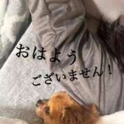 ヒメ日記 2026/01/07 12:54 投稿 和香夏（わかな） PLUS難波店