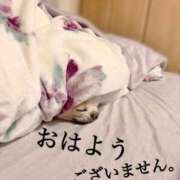 ヒメ日記 2026/01/18 11:44 投稿 和香夏（わかな） PLUS難波店