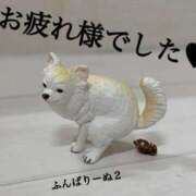 ヒメ日記 2026/02/23 22:44 投稿 和香夏（わかな） PLUS難波店