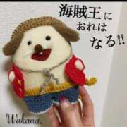 ヒメ日記 2026/03/08 19:24 投稿 和香夏（わかな） PLUS難波店