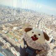 ヒメ日記 2026/03/21 16:42 投稿 和香夏（わかな） PLUS難波店