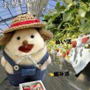 ヒメ日記 2026/03/24 22:04 投稿 和香夏（わかな） PLUS難波店