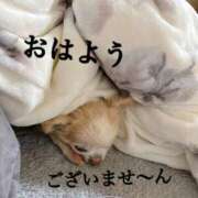 ヒメ日記 2026/03/27 10:34 投稿 和香夏（わかな） PLUS難波店