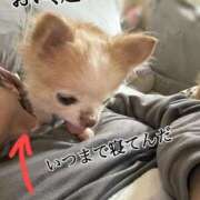 ヒメ日記 2026/03/29 10:44 投稿 和香夏（わかな） PLUS難波店