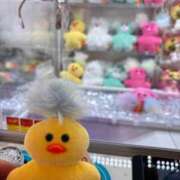 ヒメ日記 2026/03/29 20:44 投稿 和香夏（わかな） PLUS難波店