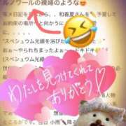 ヒメ日記 2026/04/08 14:44 投稿 和香夏（わかな） PLUS難波店