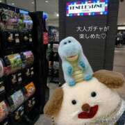 ヒメ日記 2026/04/08 19:24 投稿 和香夏（わかな） PLUS難波店