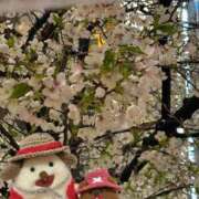 ヒメ日記 2026/04/09 22:24 投稿 和香夏（わかな） PLUS難波店