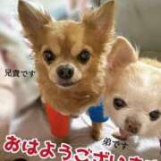 ヒメ日記 2026/04/21 10:34 投稿 和香夏（わかな） PLUS難波店