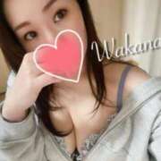 ヒメ日記 2026/04/24 11:54 投稿 和香夏（わかな） PLUS難波店