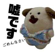 ヒメ日記 2026/04/25 11:44 投稿 和香夏（わかな） PLUS難波店