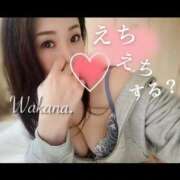 ヒメ日記 2026/04/28 16:44 投稿 和香夏（わかな） PLUS難波店