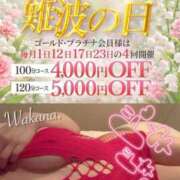 ヒメ日記 2026/04/30 12:54 投稿 和香夏（わかな） PLUS難波店