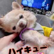 ヒメ日記 2026/05/06 22:54 投稿 和香夏（わかな） PLUS難波店