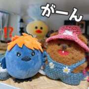 ヒメ日記 2026/05/12 11:44 投稿 和香夏（わかな） PLUS難波店