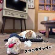 ヒメ日記 2026/05/20 20:44 投稿 和香夏（わかな） PLUS難波店