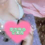 ヒメ日記 2025/10/11 12:35 投稿 かれん【業界未経験】 茨城水戸ちゃんこ