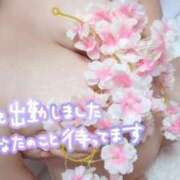 ヒメ日記 2026/08/20 12:05 投稿 かれん【業界未経験】 茨城水戸ちゃんこ