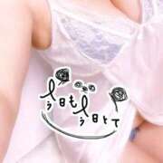 ヒメ日記 2026/09/16 12:05 投稿 かれん【業界未経験】 茨城水戸ちゃんこ
