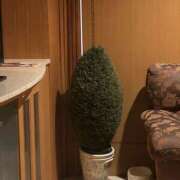 ヒメ日記 2025/12/05 15:22 投稿 るな ラブコレ