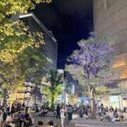 ヒメ日記 2025/10/12 05:49 投稿 ほのか ピンクコレクション大阪キタ店