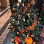 ヒメ日記 2025/10/25 02:53 投稿 ほのか ピンクコレクション尼崎店