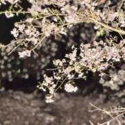 沙羅 大切なお知らせ。 モアグループ所沢人妻城