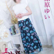 涼原ゆい テスト 五十路マダム 沼津店(カサブランカグループ)