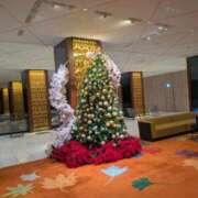 ヒメ日記 2025/12/20 02:50 投稿 里香 大阪回春性感マッサージ倶楽部