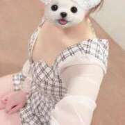 のどか 退勤しました⋆͛📢⋆ FAIRY Fukuoka Nakasu