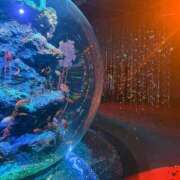 ヒメ日記 2025/11/08 15:57 投稿 れんか ロイヤル土佐