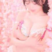 ヒメ日記 2026/02/15 13:34 投稿 Chitose PROPORTION