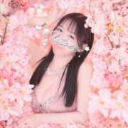 ヒメ日記 2026/03/17 12:31 投稿 Chitose PROPORTION