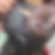 ヒメ日記 2026/02/07 22:00 投稿 ひめか 渋谷FLAMINGO