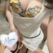 ヒメ日記 2025/11/03 09:07 投稿 黒崎 もな ライオンズクラブ