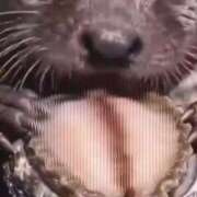 仁木まゆか おはようございます。 五十路マダム 博多店