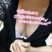 ヒメ日記 2025/11/14 13:10 投稿 りく ギン妻パラダイス 堺東店