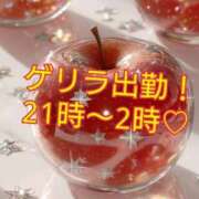 りく ゲリラ出勤21時～ ギン妻パラダイス 堺東店