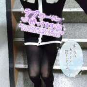 ヒメ日記 2026/01/08 19:27 投稿 りく ギン妻パラダイス 堺東店