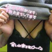 ヒメ日記 2026/02/23 15:04 投稿 りく ギン妻パラダイス 堺東店