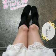 ヒメ日記 2026/03/30 19:41 投稿 りく ギン妻パラダイス 堺東店