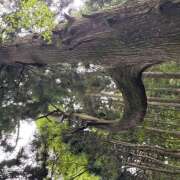 ヒメ日記 2025/09/30 23:32 投稿 りく 神田はっち