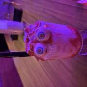 ヒメ日記 2025/10/06 01:27 投稿 りく 神田はっち