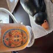 ヒメ日記 2025/10/16 20:12 投稿 りく 神田はっち