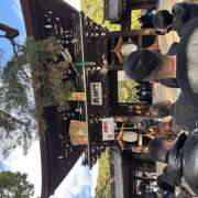 ヒメ日記 2026/01/02 21:00 投稿 りく 神田はっち