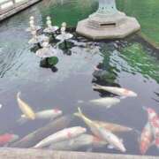 ヒメ日記 2025/10/04 16:53 投稿 ふうか 奥様の実話 梅田店