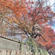 ふうか ありがとうございました！ 奥様の実話 梅田店